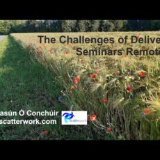 The Challenges of Delivering Remote Seminars
